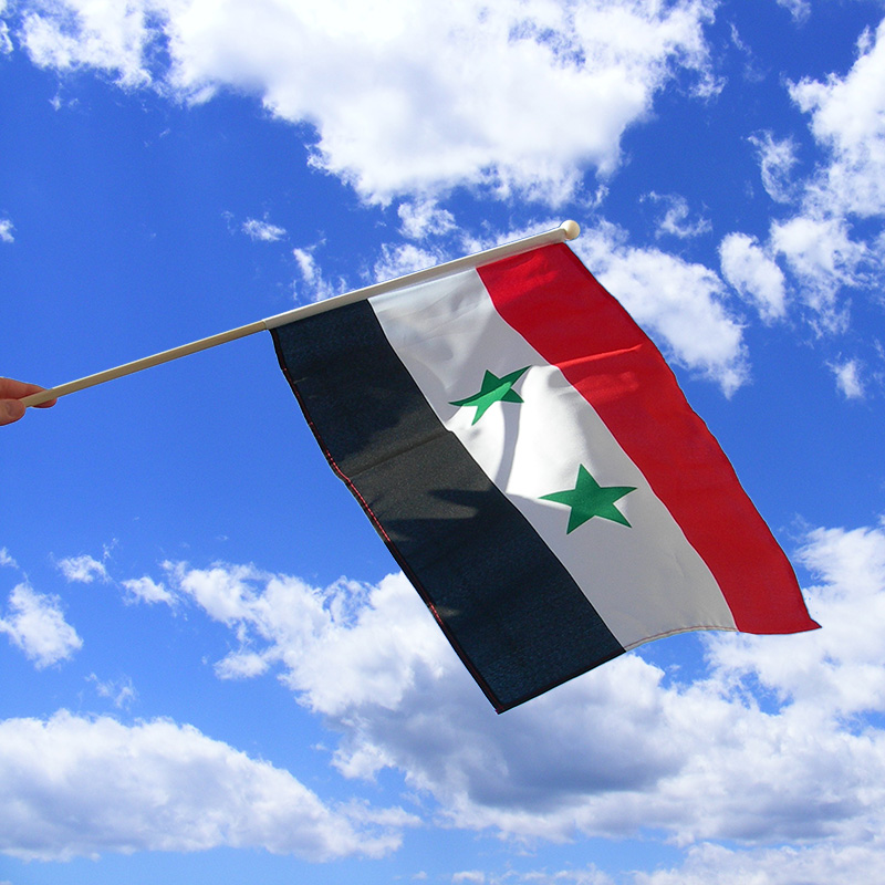 Syria Pole Sleeve Flag  Over 30 Yrs In Business