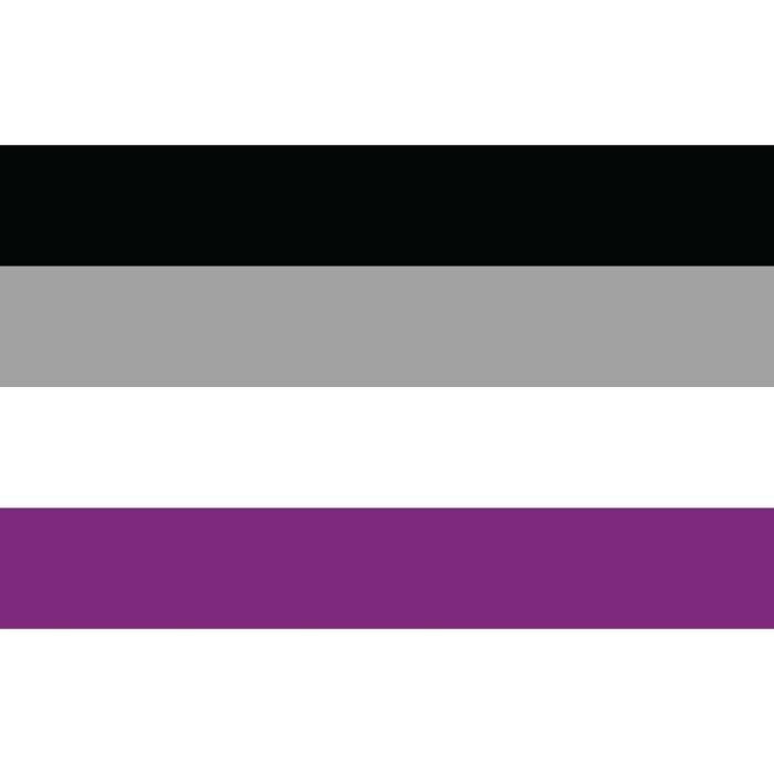 Large Asexual Flag | LGBT flags | The Flag Shop