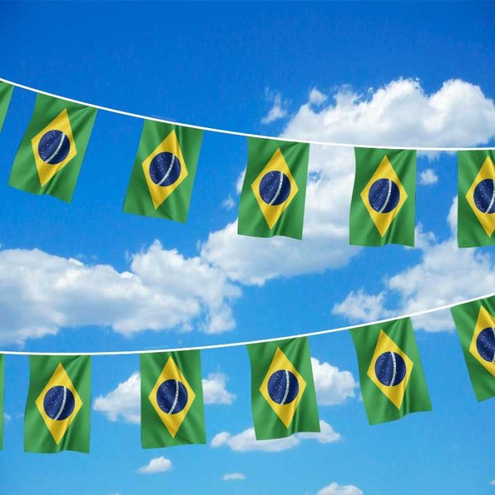 Brazil Bunting for Sale | Buy Brazil Flag Bunting | The Flag Shop