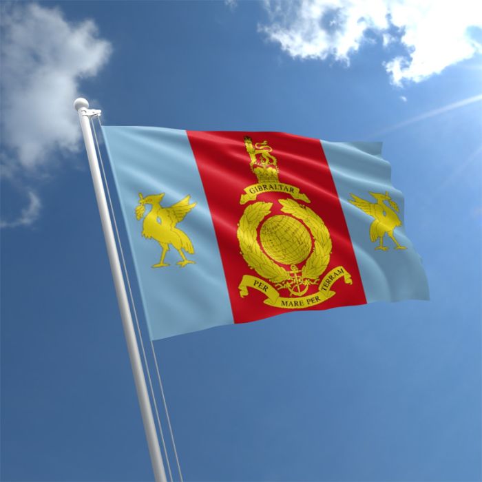 Royal Marines Reserves Merseyside Flag | The Flag Shop