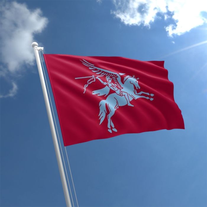 Airborne Pegasus Flag | The Flag Shop