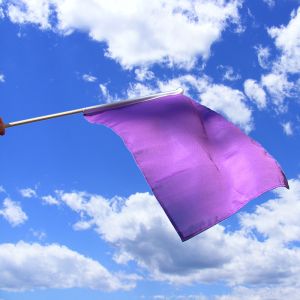 Purple Flag | Buy Purple Flag | The Flag Shop